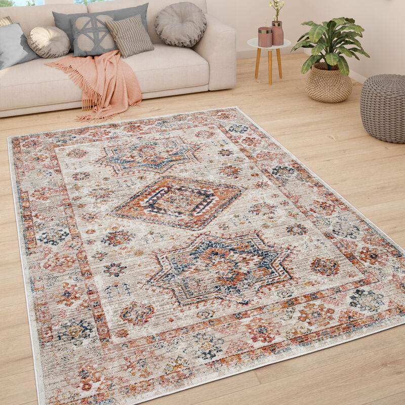 Alfombra Salón Pelo Corto Vintage Pastel Motivo Moderno Oriental 160x230 cm