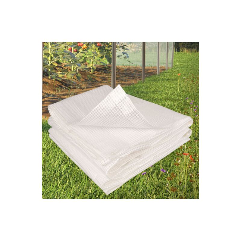 Lona transparente reforzada 6x10 m barato